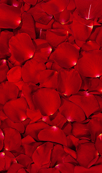 NOTE DI CUORE